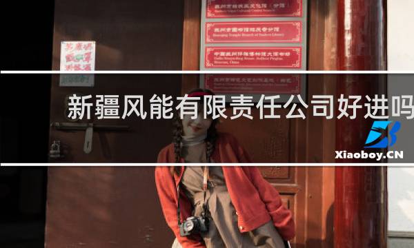 新疆风能有限责任公司好进吗图片