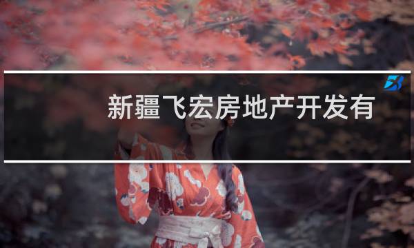 新疆飞宏房地产开发有限公司(关于新疆飞宏房地产开发有限公司的简介)图片