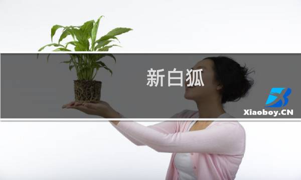 新白狐图片