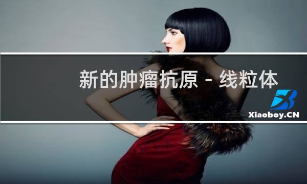 新的肿瘤抗原－线粒体蛋白12的功能和应用研究(关于新的肿瘤抗原－线粒体蛋白12的功能和应用研究的简介)图片