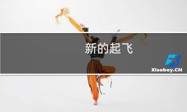 新的起飞(关于新的起飞的简介)图片