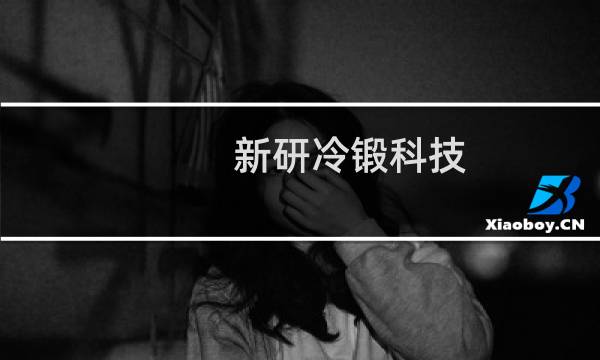 新研冷锻科技 东莞有限公司(关于新研冷锻科技 东莞有限公司的简介)