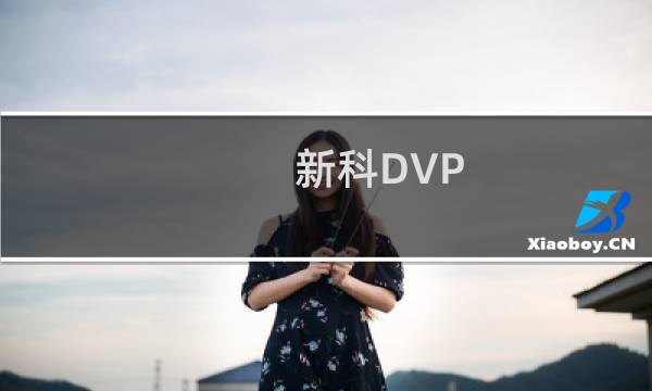 新科DVP-589(关于新科DVP-589的简介)图片