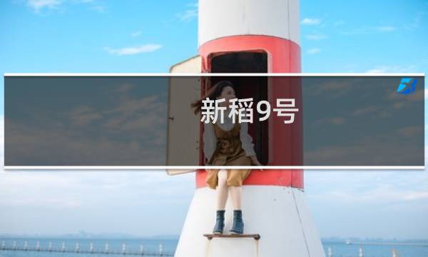 新稻9号 香粳1号(关于新稻9号 香粳1号的简介)图片