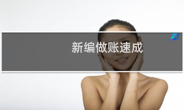 新编做账速成(关于新编做账速成的简介)图片