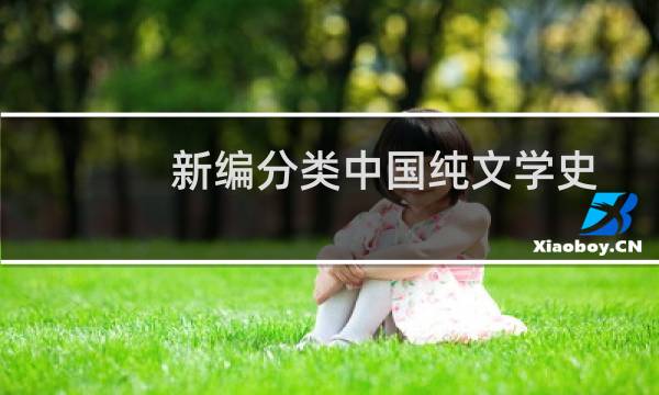 新编分类中国纯文学史纲(关于新编分类中国纯文学史纲的简介)