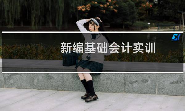 新编基础会计实训(关于新编基础会计实训的简介)