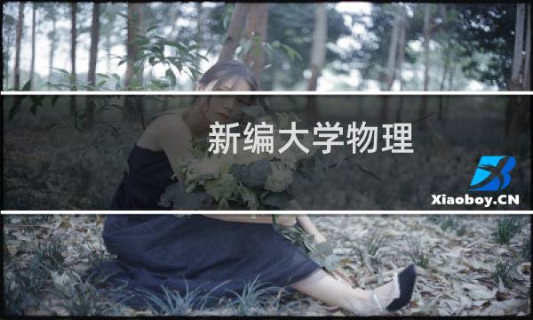 新编大学物理 下册(关于新编大学物理 下册的简介)