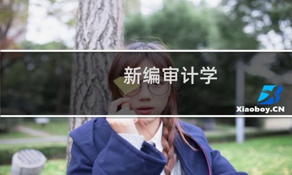 新编审计学(关于新编审计学的简介)图片