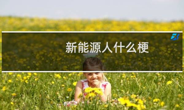 新能源人什么梗？什么梗