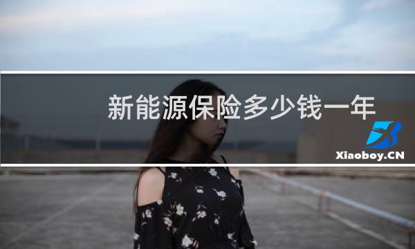新能源保险多少钱一年
