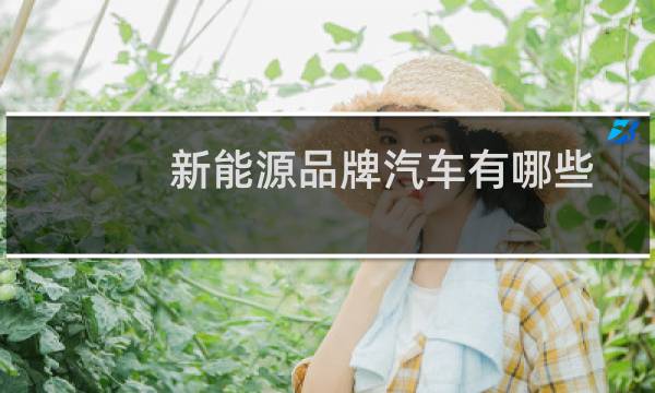 新能源品牌汽车有哪些