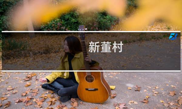 新董村(关于新董村的简介)图片