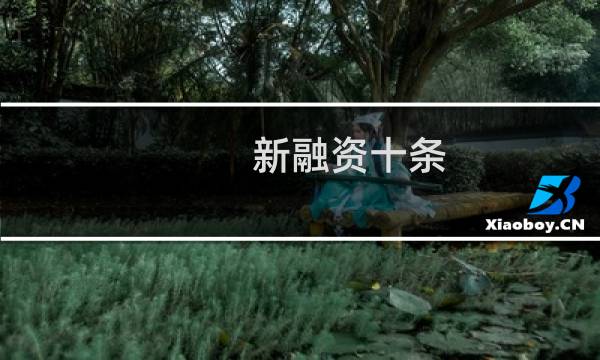 新融资十条(关于新融资十条的简介)
