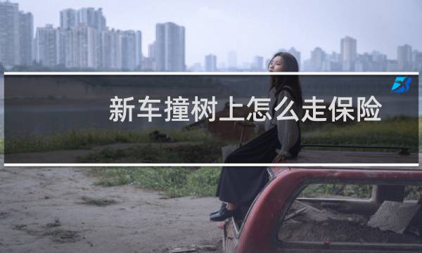新车撞树上怎么走保险