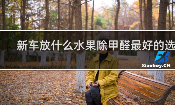 新车放什么水果除甲醛最好的选择