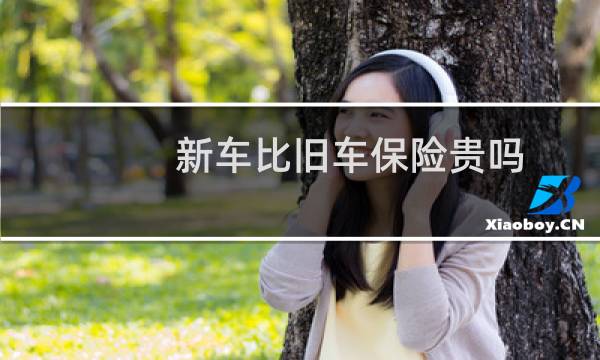 新车比旧车保险贵吗