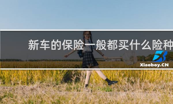 新车的保险一般都买什么险种