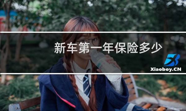 新车第一年保险多少图片