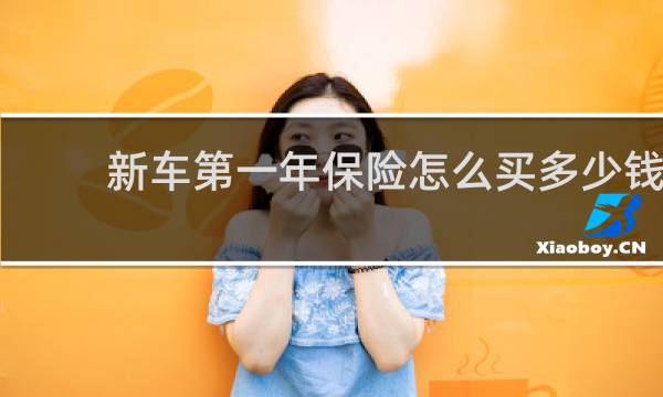 新车第一年保险怎么买多少钱