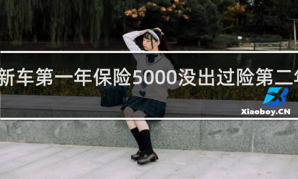 新车第一年保险5000没出过险第二年多少图片