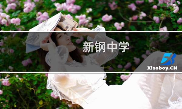 新钢中学图片