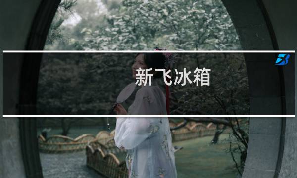 新飞冰箱