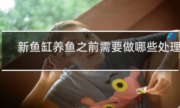 新鱼缸养鱼之前需要做哪些处理吗