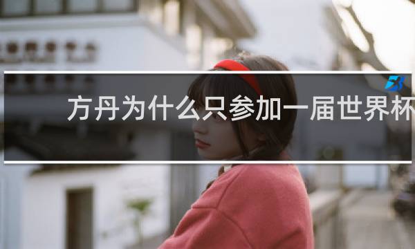方丹为什么只参加一届世界杯