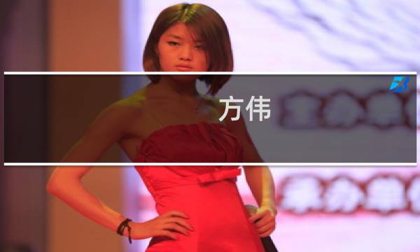 方伟(关于方伟的简介)图片