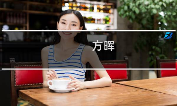 方晖(关于方晖的简介)图片