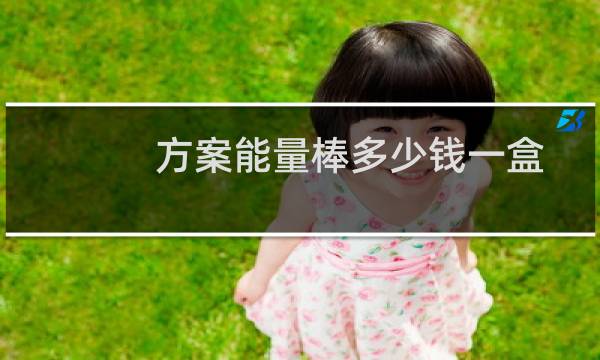 方案能量棒多少钱一盒