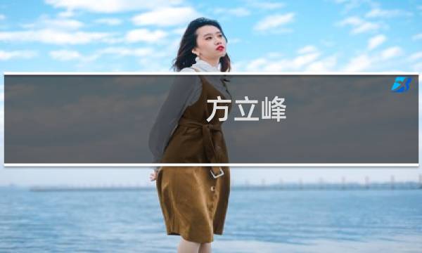 方立峰(关于方立峰的简介)图片