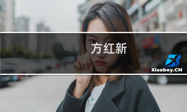 方红新(关于方红新的简介)