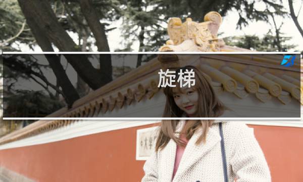 旋梯(关于旋梯的简介)图片