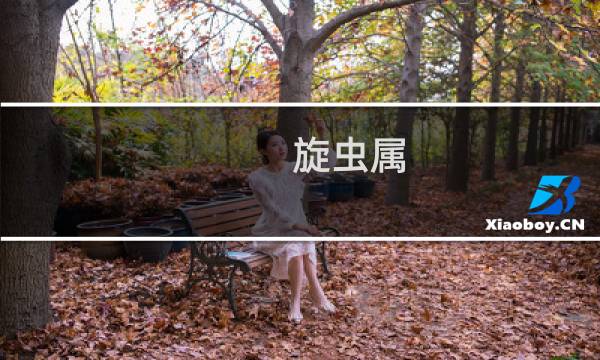 旋虫属(关于旋虫属的简介)