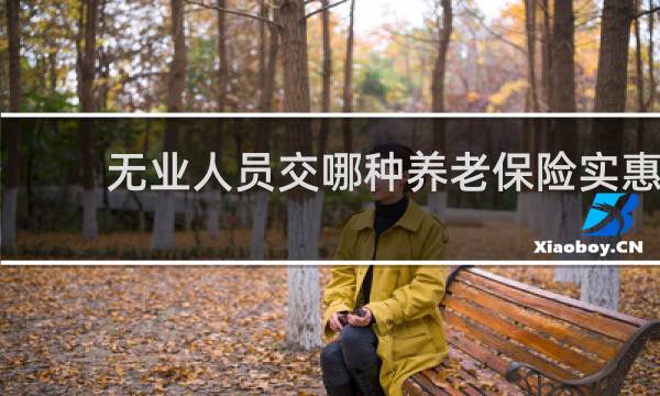 无业人员交哪种养老保险实惠