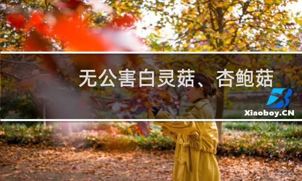 无公害白灵菇、杏鲍菇标准化生产(关于无公害白灵菇、杏鲍菇标准化生产的简介)图片