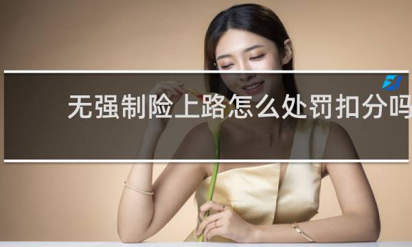 无强制险上路怎么处罚扣分吗图片