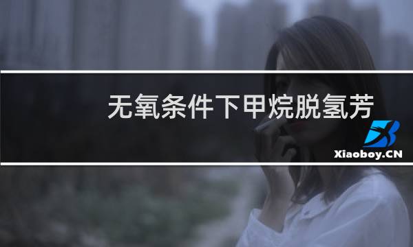 无氧条件下甲烷脱氢芳构化催化剂研究(关于无氧条件下甲烷脱氢芳构化催化剂研究的简介)图片
