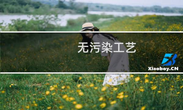 无污染工艺(关于无污染工艺的简介)