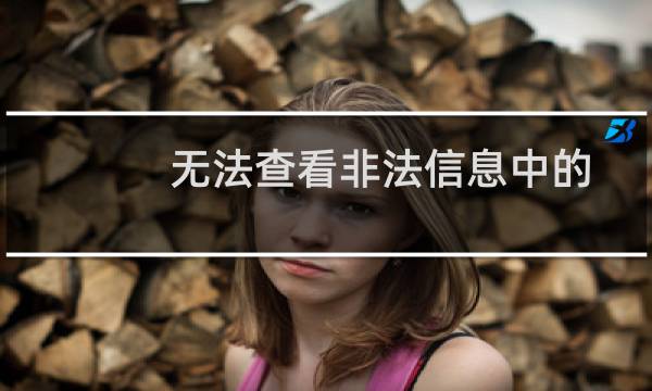 无法查看非法信息中的记录信息