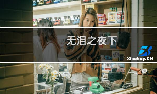 无泪之夜下(关于无泪之夜下的简介)