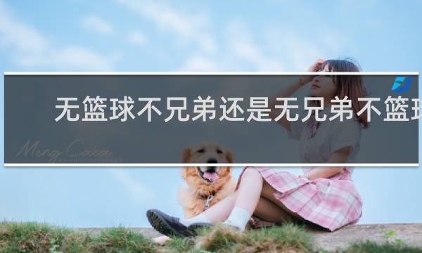 无篮球不兄弟还是无兄弟不篮球
