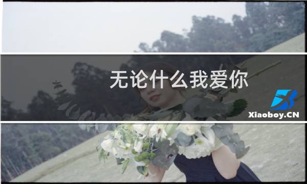 无论什么我爱你(关于无论什么我爱你的简介)图片