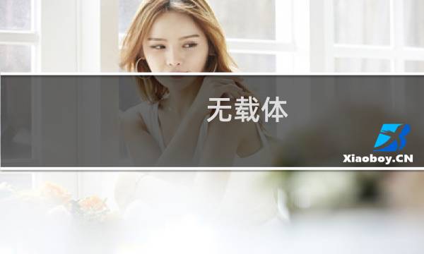 无载体(关于无载体的简介)