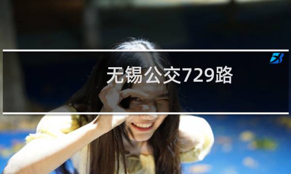 无锡公交729路(关于无锡公交729路的简介)