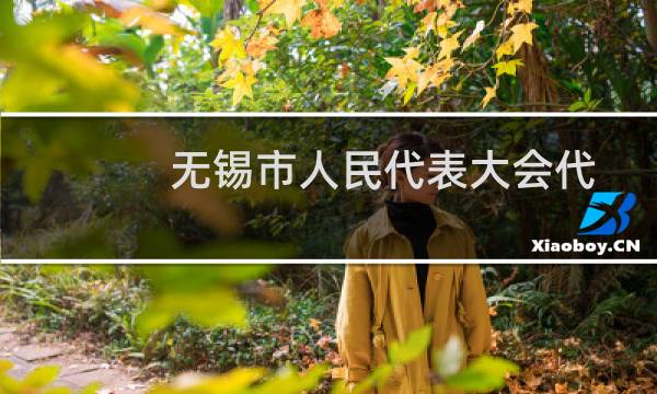 无锡市人民代表大会代表议案处理办法(关于无锡市人民代表大会代表议案处理办法的简介)