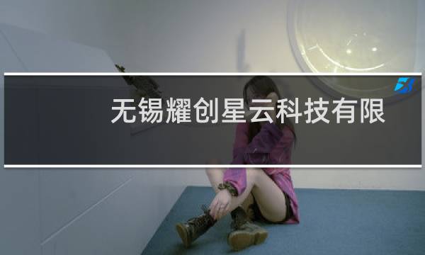无锡耀创星云科技有限公司(关于无锡耀创星云科技有限公司的简介)图片