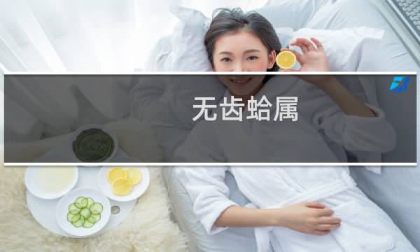 无齿蛤属(关于无齿蛤属的简介)图片